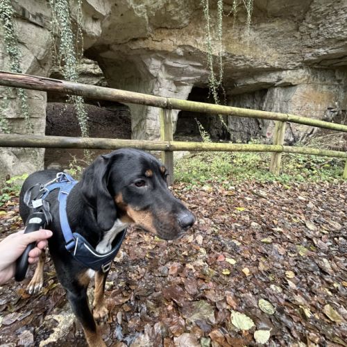 Barry 2 ans - don #3