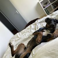 Barry 2 ans - don #1