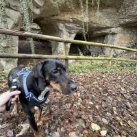 Barry 2 ans - don #3