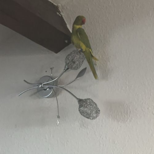 Bonjour j’accueille #2