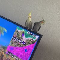 Bonjour j’accueille #1