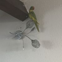 Bonjour j’accueille #2