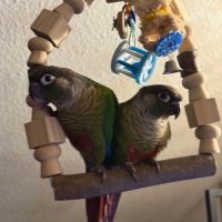 Bonjour j’accueille #0