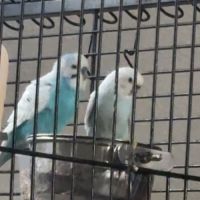 Bonjour j’accueille #4