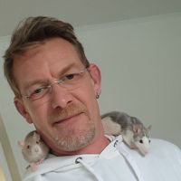 Donne 2 petites rates de 8 mois environ