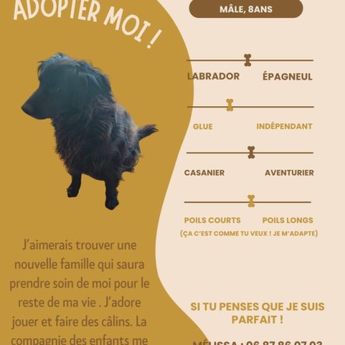 Mr calinou s'appelle newton ❤️