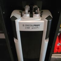 Axolotls avec aquarium #6