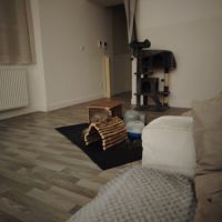 Tic chinchilla 2 ans et demi