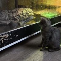 André - junior indépendant #3