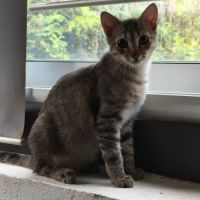 André - junior indépendant #4