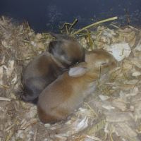 Une naissance à eu lieu #1