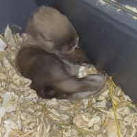 Une naissance à eu lieu #2