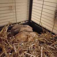 Une naissance à eu lieu #0