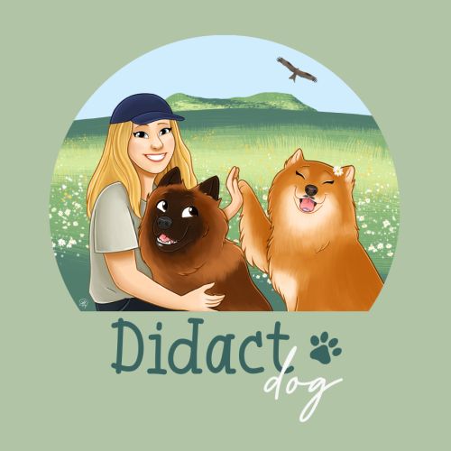 Didact dog - éducateur canin diplômé #0