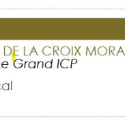 Setter anglais pour saillie #2