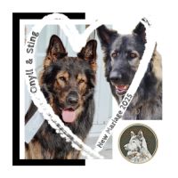 Future naissance altdeutsche schäferhund 24/8/2025