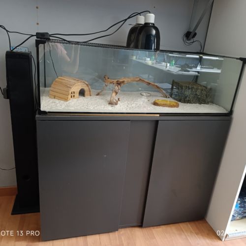 Gecko léopard + terrarium+ meuble + accessoires #1