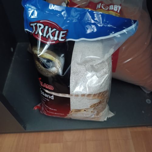 Gecko léopard + terrarium+ meuble + accessoires #5