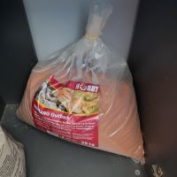 Gecko léopard + terrarium+ meuble + accessoires #4