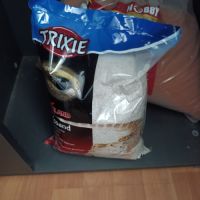 Gecko léopard + terrarium+ meuble + accessoires #5