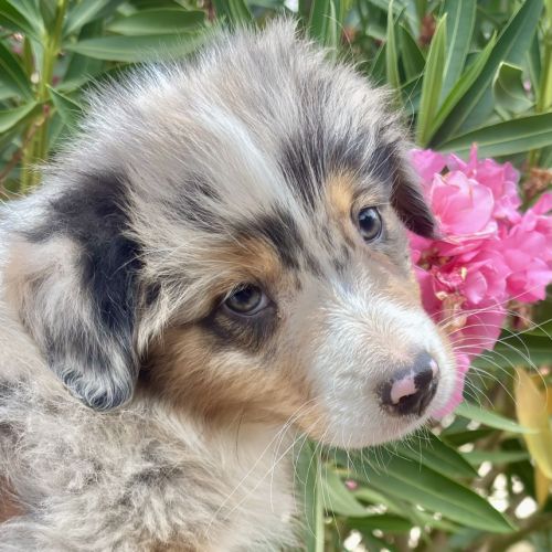 4 bb nageurs heureux #1