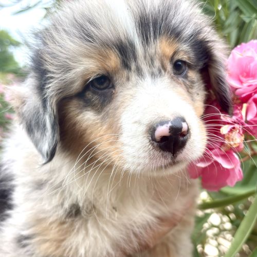 4 bb nageurs heureux #2