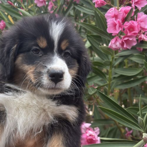 4 bb nageurs heureux #4