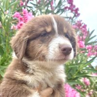 4 bb nageurs heureux #3