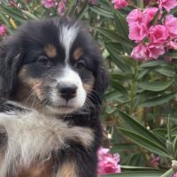 4 bb nageurs heureux #4