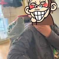 Perruches kakariki eam #5