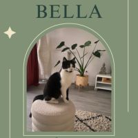 Bella ♀ - séparation difficile #0