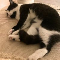 Bella ♀ - séparation difficile #2