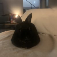 Niomi lapine naine #1