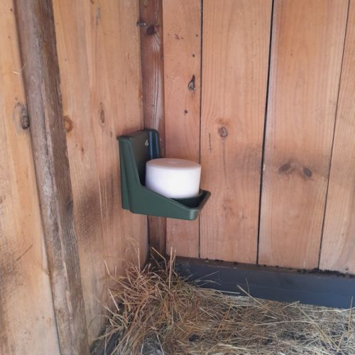 Moutons (brebis x2, jeunes - 6 mois) #5