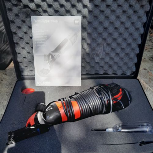 Moutons (brebis x2, jeunes - 6 mois) #8