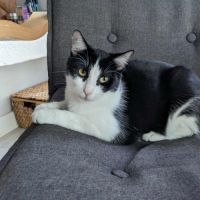 Lennix le charmeur #3