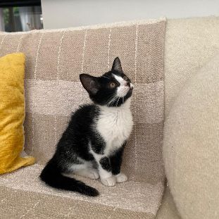 Zara a adopter trop mignonne #1