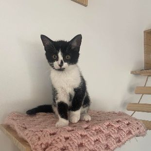 Zara a adopter trop mignonne #2