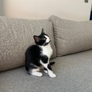 Zara a adopter trop mignonne #3