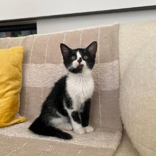 Zara a adopter trop mignonne #5