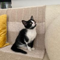 Zara a adopter trop mignonne #1