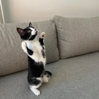 Zara a adopter trop mignonne #0