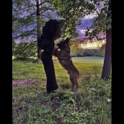 Un foyer pour nonox #1