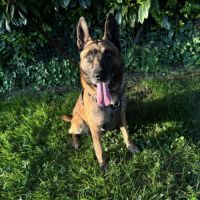 Un foyer pour nonox #2