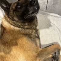 Un foyer pour nonox #4