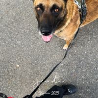 Un foyer pour nonox #5