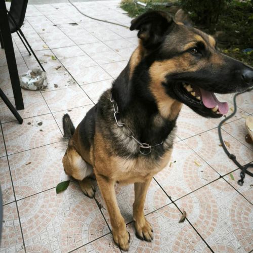 Urgence pour rocket #1