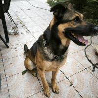 Urgence pour rocket #1