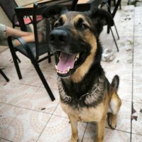 Urgence pour rocket #0