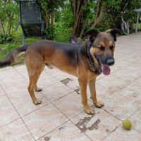 Urgence pour rocket #3